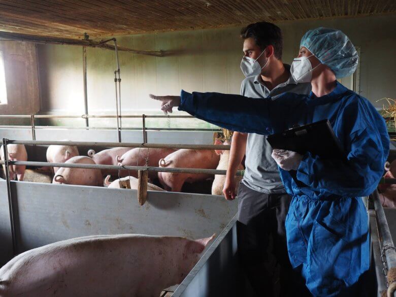 5 PUNKTEPROGRAMM TIERWOHL IM SCHWEINEBEREICH